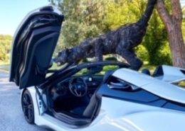 Location de voiture de luxe Alpes Françaises