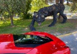 Ferrari rental 260x185