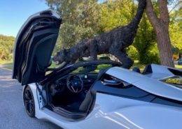 location de voiture de sport